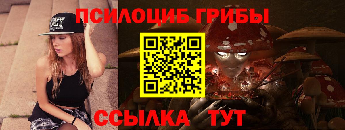 Галлюциногенные грибы Psilocybine cubensis Кудрово