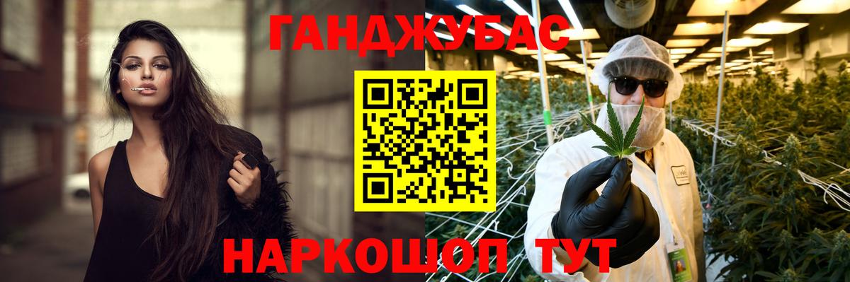Каннабис OG Kush Кудрово